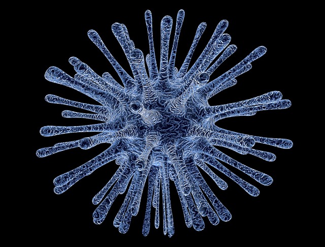 miniatura Post-doc [wirusologia] Rekrutacja do projektu Sonata Bis: Coronavirus and the cell: dyplomatic bag